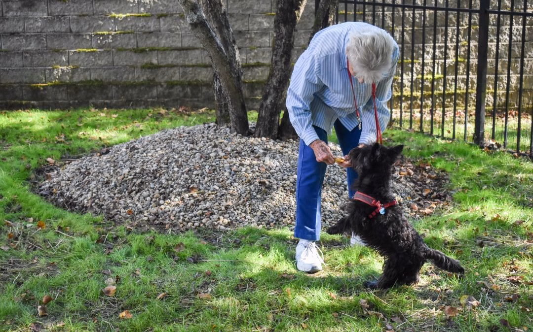 A resident plays with her dog at the on-site dog park at Willow Brook Village in Delaware, Ohio, where pet-friendly senior living amenities support active lifestyles.
